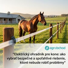 Elektrický ohradník pre kone: ako vybrať bezpečné a spoľahlivé riešenie, ktoré nebude robiť problémy