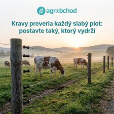 Kravy preveria každý slabý plot: postavte taký, ktorý vydrží