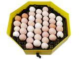 Otočný rošt na slepačie vajcia pre liahne CLEO SLEPICE