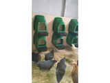 Znáškové hniezdo pre sliepky so zberným košíkom HF 44X37X50