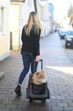 Cestovný vozík pre psa
