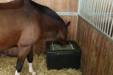 Kŕmny stojan HayBox pre kone