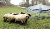 Mobilný prístrešok pre ovce a kozy