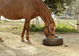 Žľab pre kone do pneumatiky
