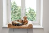 Posteľ pre mačku na okno
