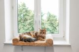 Posteľ pre mačku na okno