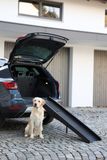 Prenosná rampa pre psa