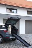 Prenosná rampa pre psa