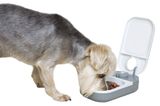 Dávkovač krmiva pre psa aj mačku 400 g