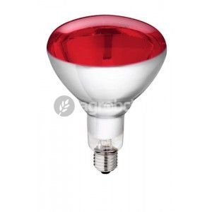 Infračervená žiarovka červená Philips 150W